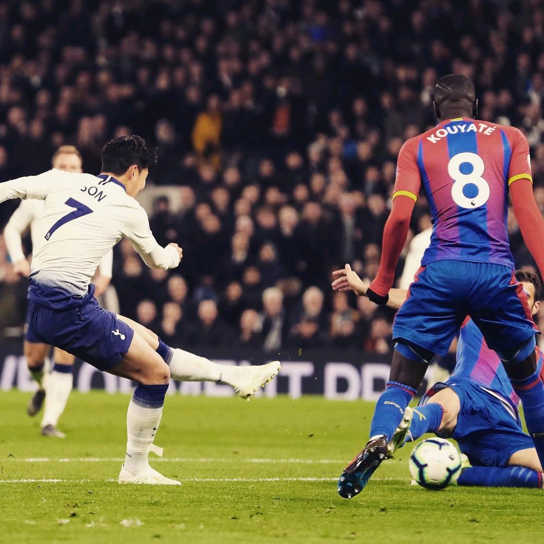 育文化的多 育文化的多